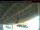 Webcam in Arnprior, 141.4 km