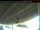 Webcam in Arnprior, 0 km