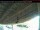 Webcam in Arnprior, 99.9 km
