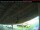 Webcam in Arnprior, 38.5 mi away