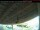 Webcam in Arnprior, 20 mi away