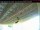 Webcam in Arnprior, 0 km