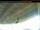 Webcam in Arnprior, 107.7 km