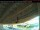 Webcam in Arnprior, 99.8 km entfernt