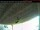 Webcam in Arnprior, 99.8 km entfernt