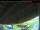 Webcam in Arnprior, 0 mi away