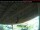 Webcam in Arnprior, 51.9 km