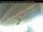 Webcam in Arnprior, 51.9 km entfernt