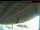 Webcam in Arnprior, 127.7 km