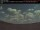 Webcam in Port Hawkesbury, 233.1 km