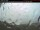 Webcam in Port Hawkesbury, 204.1 km