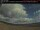 Webcam in Port Hawkesbury, 111 km
