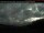 Webcam in Digby, 45.7 km