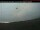 Webcam in Debert, 83.8 km entfernt