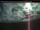 Webcam in Debert, 179 km