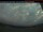 Webcam in Winterland, 475.9 km
