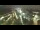 Webcam in Bremerhaven, 17.8 km