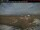 Webcam in Clyde River, 496.1 km entfernt