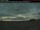 Webcam in Gjoa Haven, 793.1 km