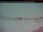 Webcam in Pangnirtung, 334.7 mi away