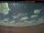 Webcam in Debert, 86.2 km
