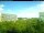 Webcam in Cottbus, 40 km