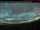 Webcam in Tsay Keh, 133.4 mi away