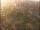 Webcam in Göttingen, 38.6 km entfernt