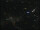 Webcam in Göttingen, 0.8 km entfernt