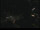 Webcam in Göttingen, 16.1 mi away