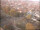 Webcam in Göttingen, 8.3 mi away