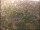 Webcam in Göttingen, 8.5 mi away
