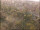 Webcam in Göttingen, 14.9 mi away