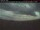 Webcam in Pincher Creek, 87.2 km
