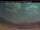 Webcam in Coleman, 110.7 mi away