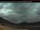 Webcam in Coleman, 188.2 km