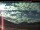 Webcam in Coleman, 283.5 km entfernt