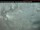 Webcam in Coleman, 261.9 km