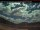 Webcam in Crowsnest Pass, 327.9 km