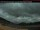 Webcam in Coleman, 245.2 km entfernt