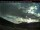 Webcam in Coleman, 162.9 km entfernt