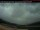 Webcam in Crowsnest Pass, 0 km