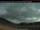 Webcam in Coleman, 0 km entfernt