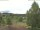 Webcam in Hahnenklee-Bockswiese, 28.1 km entfernt