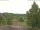 Webcam in Hahnenklee-Bockswiese, 5.7 mi away