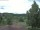Webcam in Hahnenklee-Bockswiese, 14.7 mi away