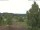 Webcam in Hahnenklee-Bockswiese, 25.4 km