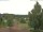Webcam in Hahnenklee-Bockswiese, 14.8 km