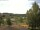 Webcam in Hahnenklee-Bockswiese, 14.8 km entfernt