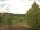 Webcam in Hahnenklee-Bockswiese, 37.8 km